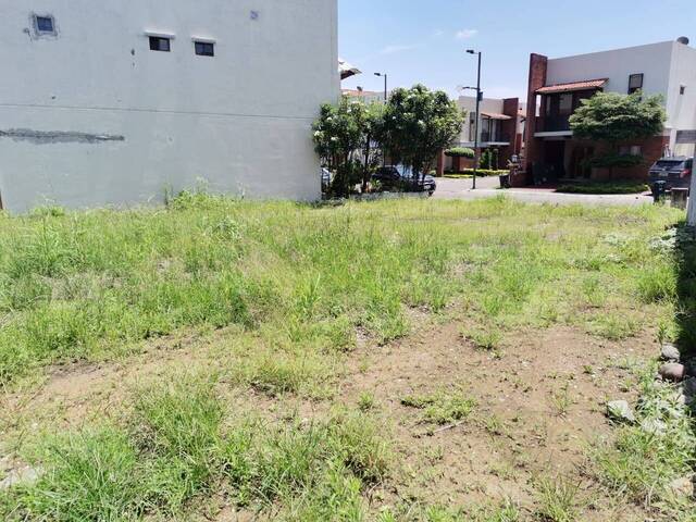 #1347 - Terreno para construcción para Venta en Guayaquil - G - 3